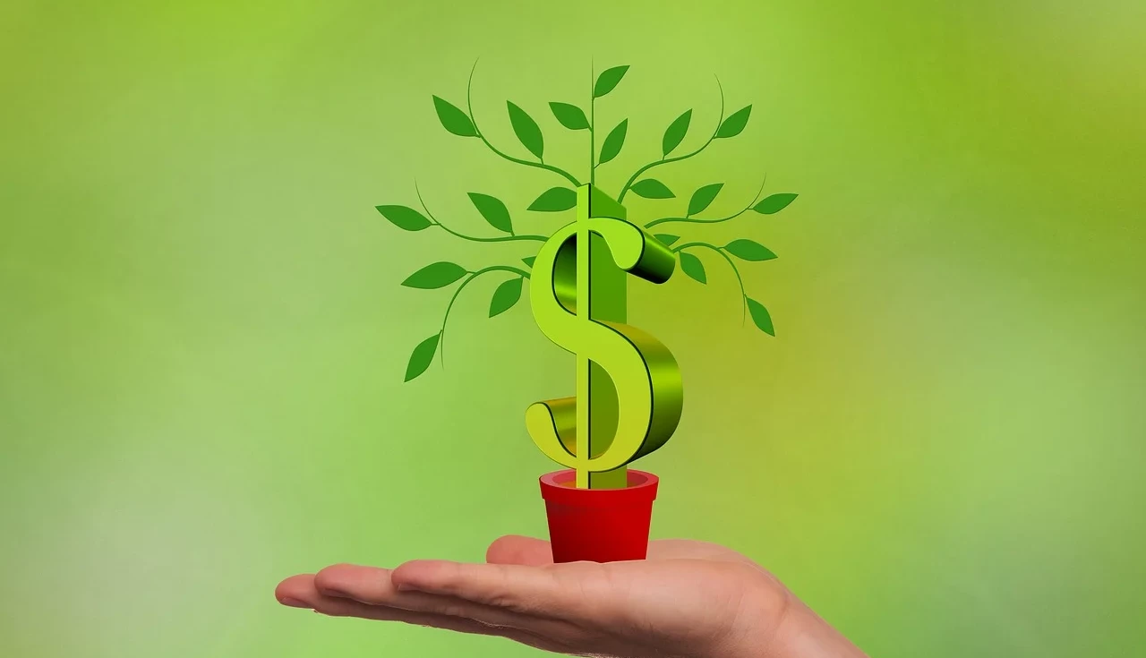 a small vase with leaves coming out of a dollar sign in the palm of his hand um pequeno vaso com folhas saindo de um cifrĂŁo na palma da mĂŁo