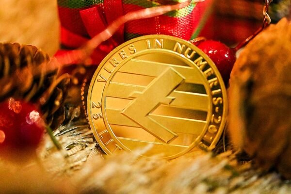 Investir em Criptomoedas de Forma Segur