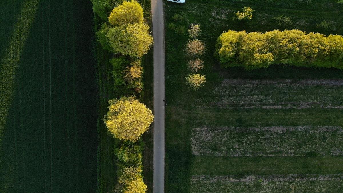 o-erro-com-dinheiro-que-a-maioria-comete-sem-saber