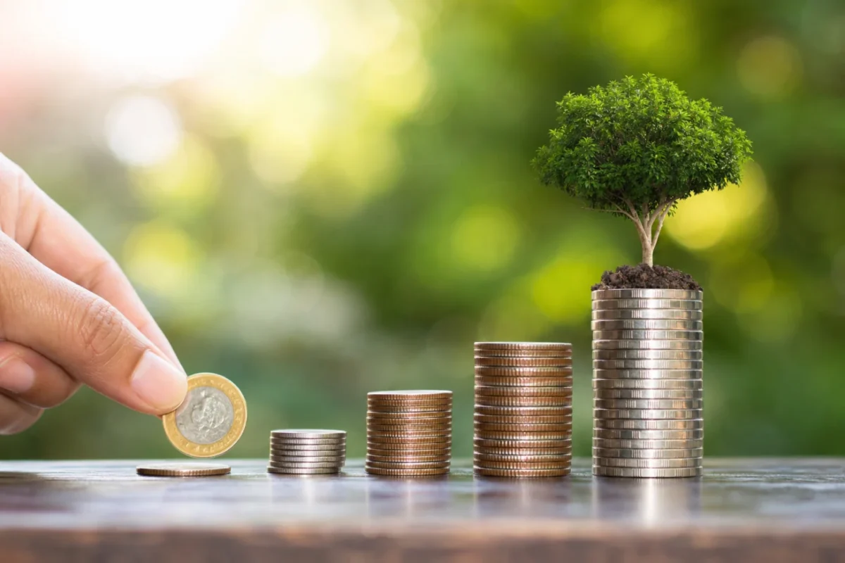 Como Fazer 1 Real Virar 100 com Escolhas Financeiras Inteligentes